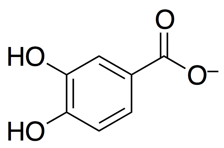 Structural Formula