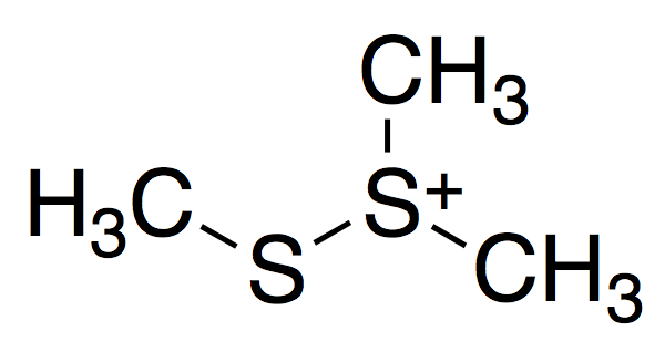 Structural Formula