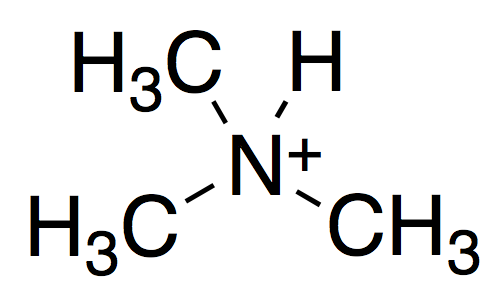 Structural Formula